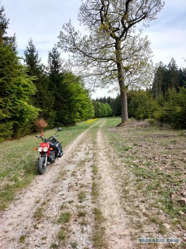 Германия на скутере. Фотоотчет