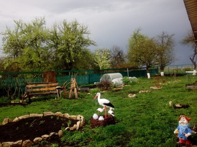 Перед грозой в деревне
