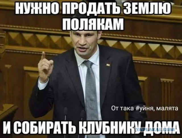Украина победила шведов на евро