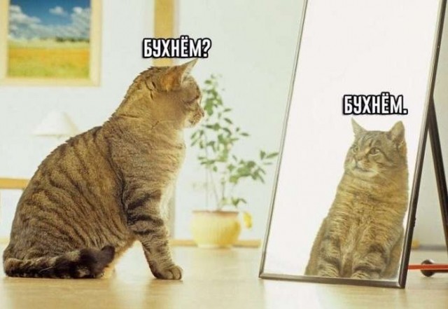 Аморальная деградация