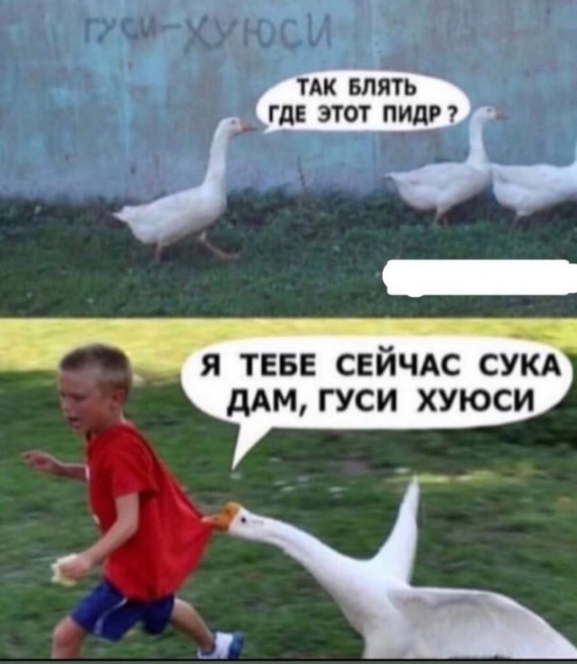 Баянисто-небаянистый юмор 04.08.21