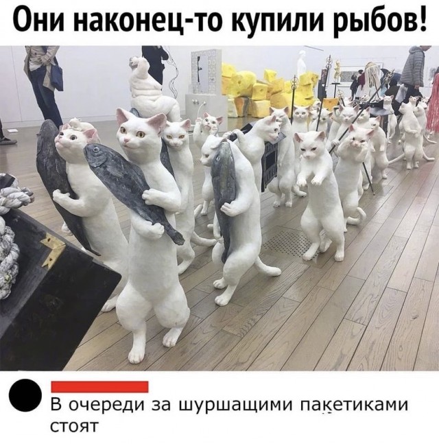 Весёлый полтишок 8.08