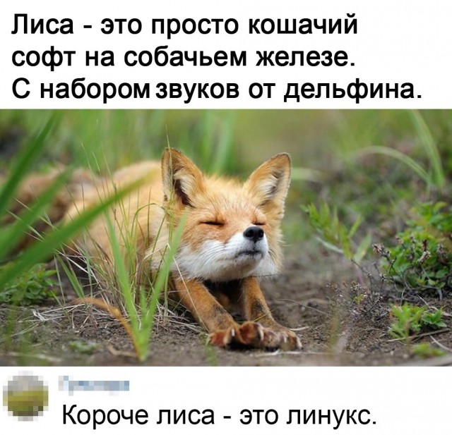 Так себе картинки 04.12.21