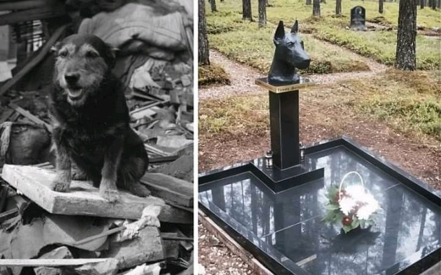 Жужа