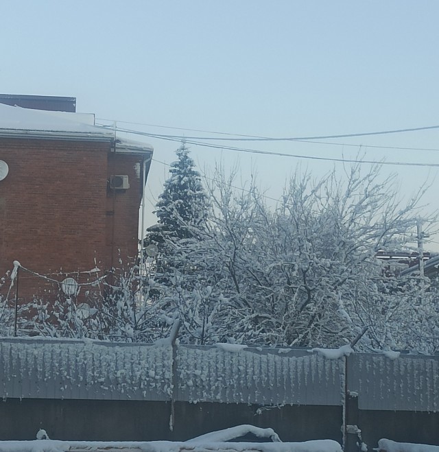 Тем временем в Краснодаре