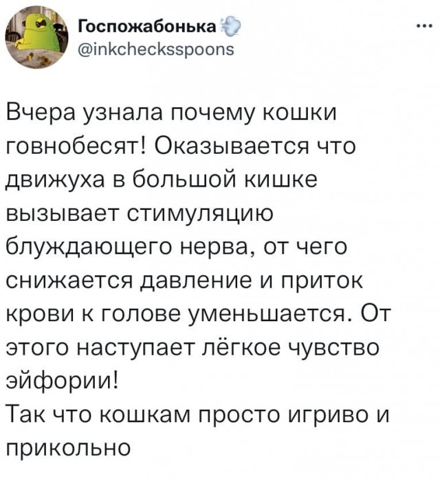 Чуток картинок 25.01.22