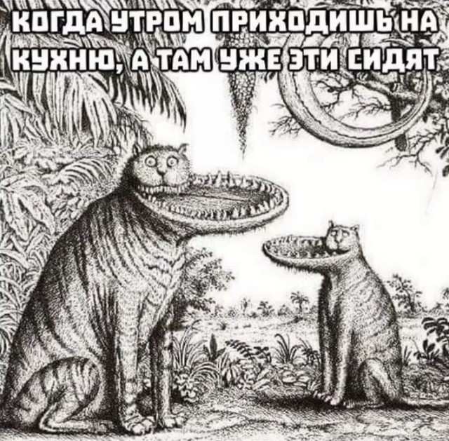 Весёлый полтишок 03.02