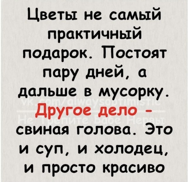 Картинки с надписями и всякие жизненные фразы