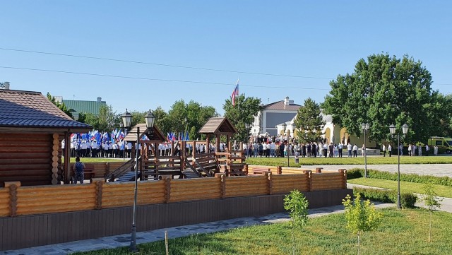 Астрахань – город «мёртвых» собак