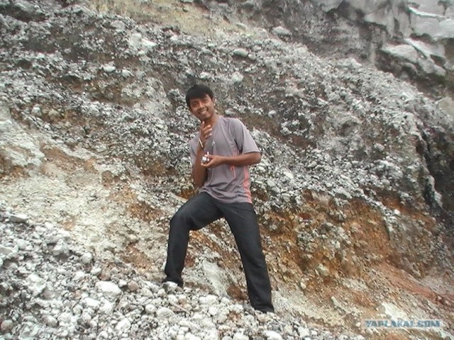 Они живут только 40 лет