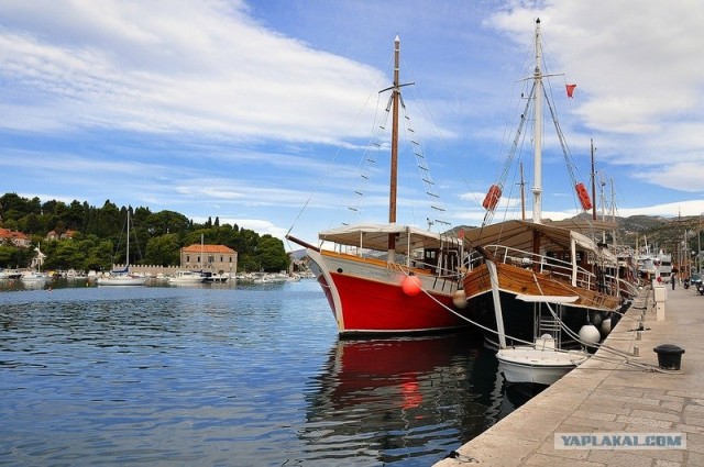 Любовь с первого взгляда