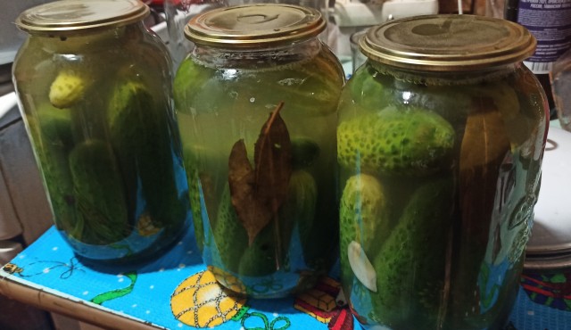 Кулинарная общалка