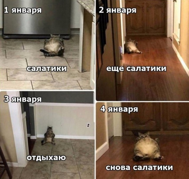 Учиться никогда не поздно ... - ЯПлакалъ