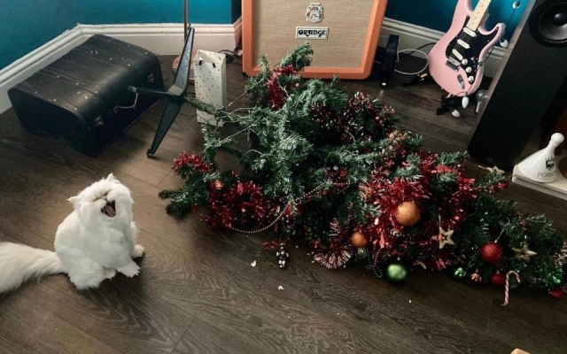 Хозяева садисты!