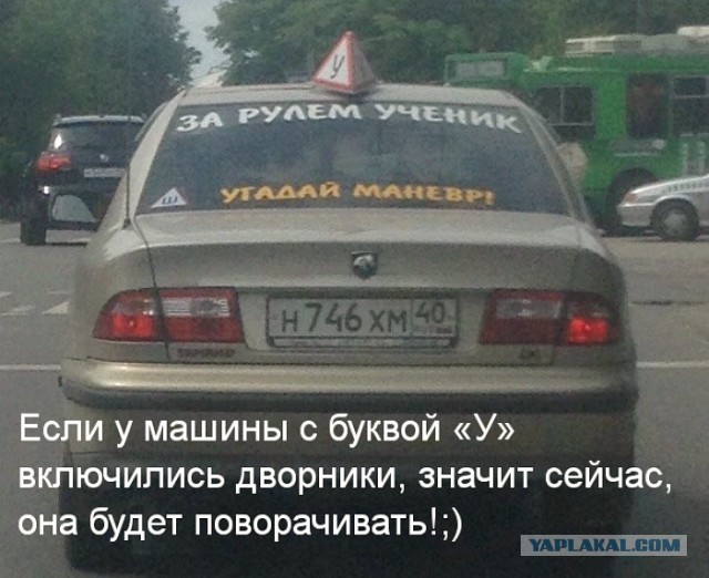 Они нашли друг друга