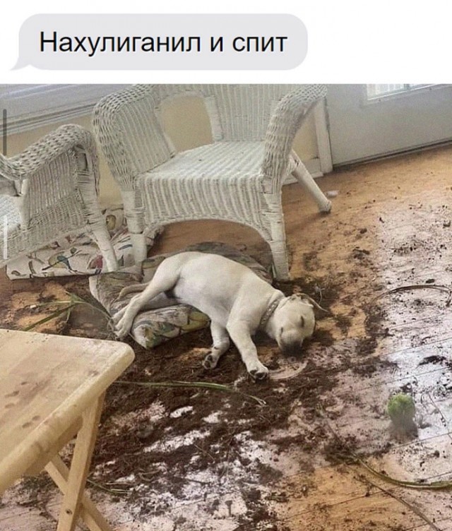 Немного картинок для настроения - 127