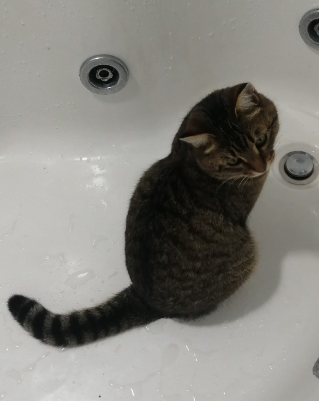 Свекровь подговаривает мужа сделать тест ДНК нашему сыну. Боюсь результата, так как есть грешок