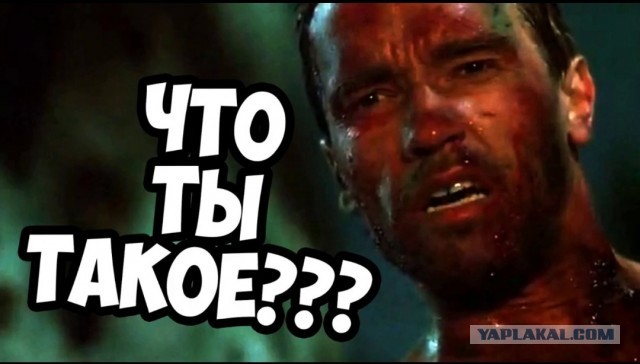 К Наде набежали женихи