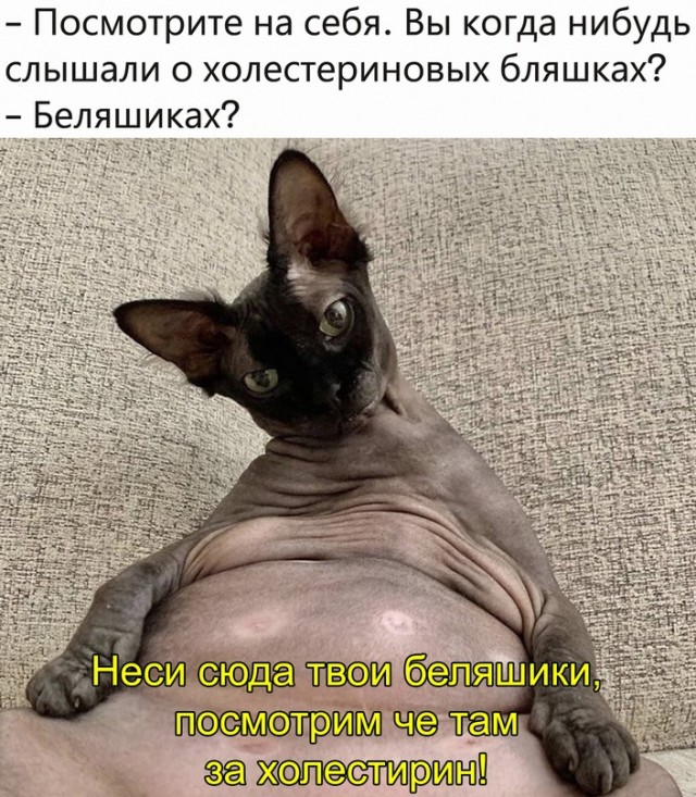 Немного картинок для настроения