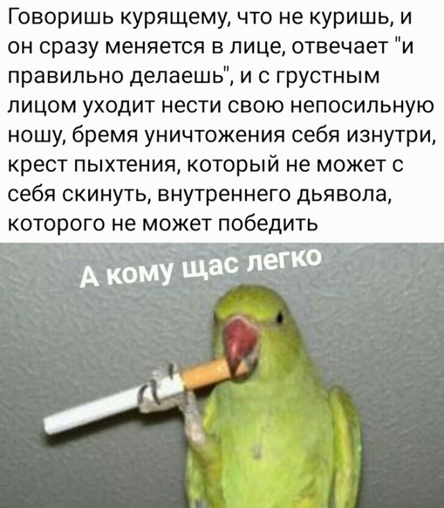 Весёлый полтишок 17.01.23