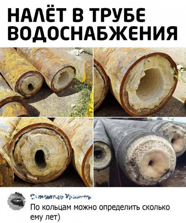 Картинки и мемы, всем хороших выходных