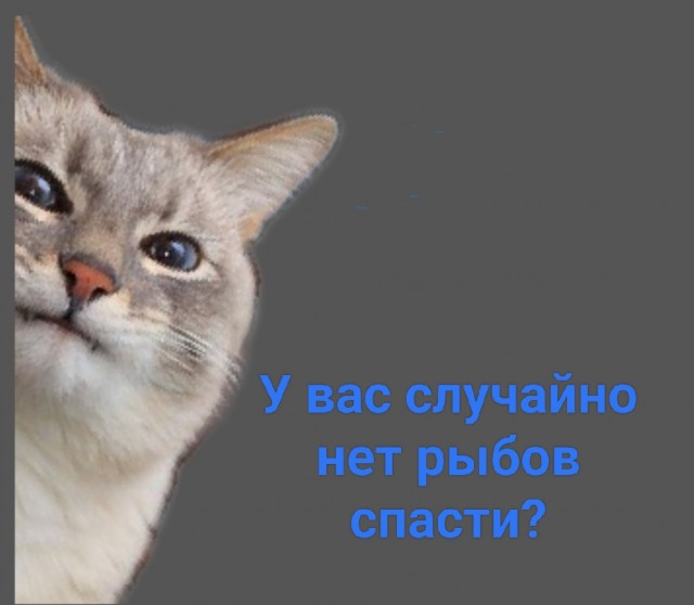 Супруги из Челябинска оказались в нужное время и в нужном месте