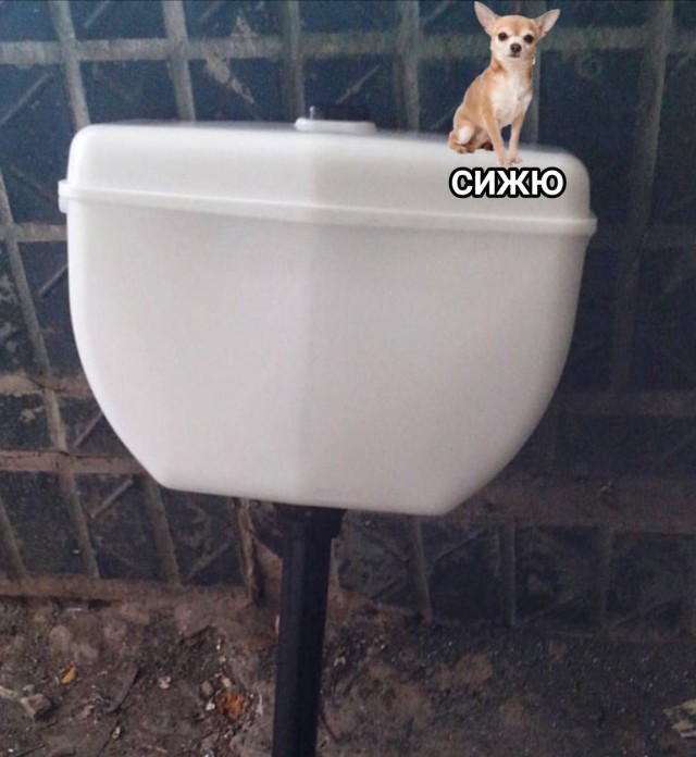 Всего понемногу. От 26.04.23