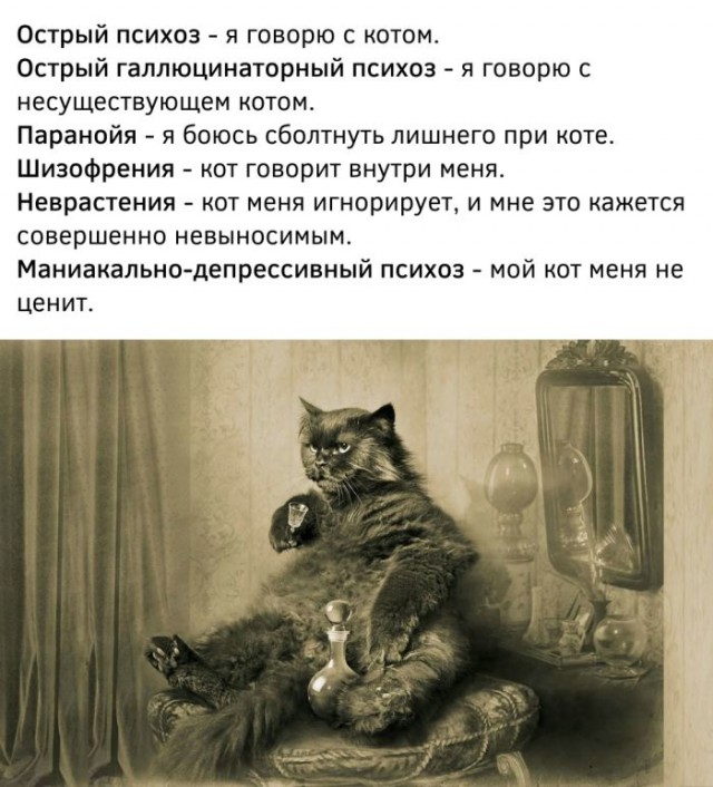 Картинки и мемы, всяко разно - 179