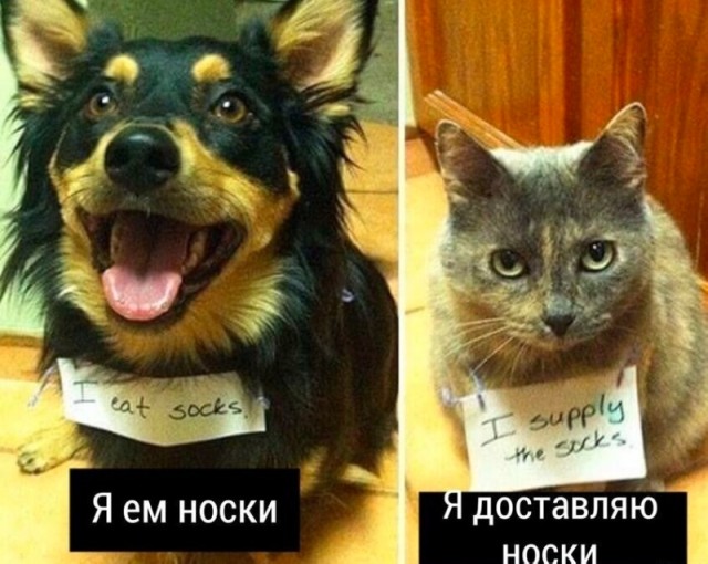 Так себе картинки 20.06.23