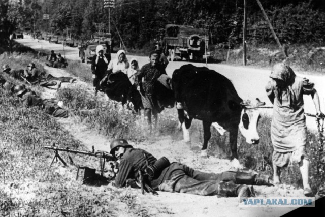 22 июня 1941. Это война!