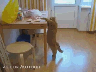 Рыжий затупил чёта!