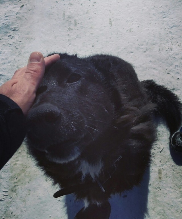 Мячики