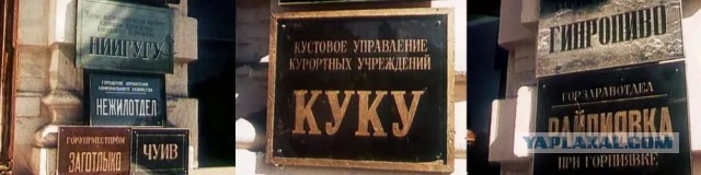 16 юморных вывесок на грани фола, мимо которых точно нельзя пройти, не посмеявшись