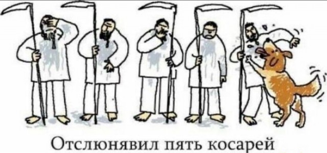 Картинок пост, баянистых и не очень