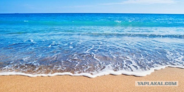 Поедешь со мной зимовать на море?