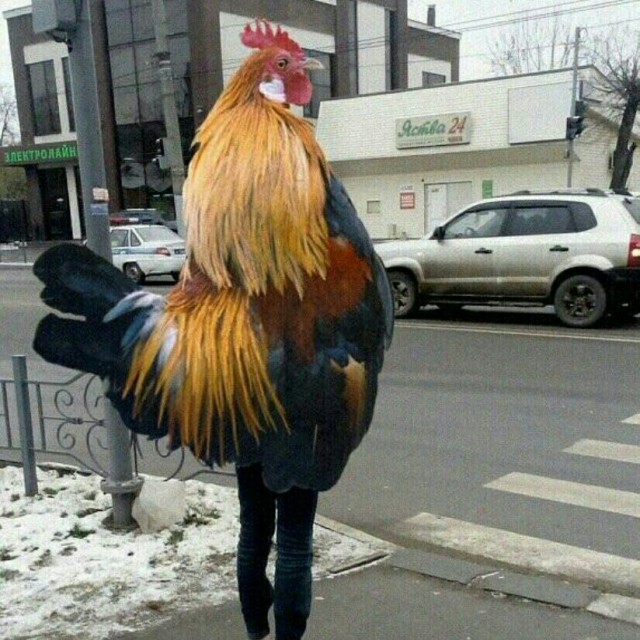 Когда приобрёл новые тяги