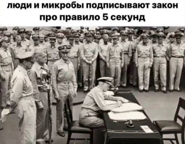 Любите шаверму?