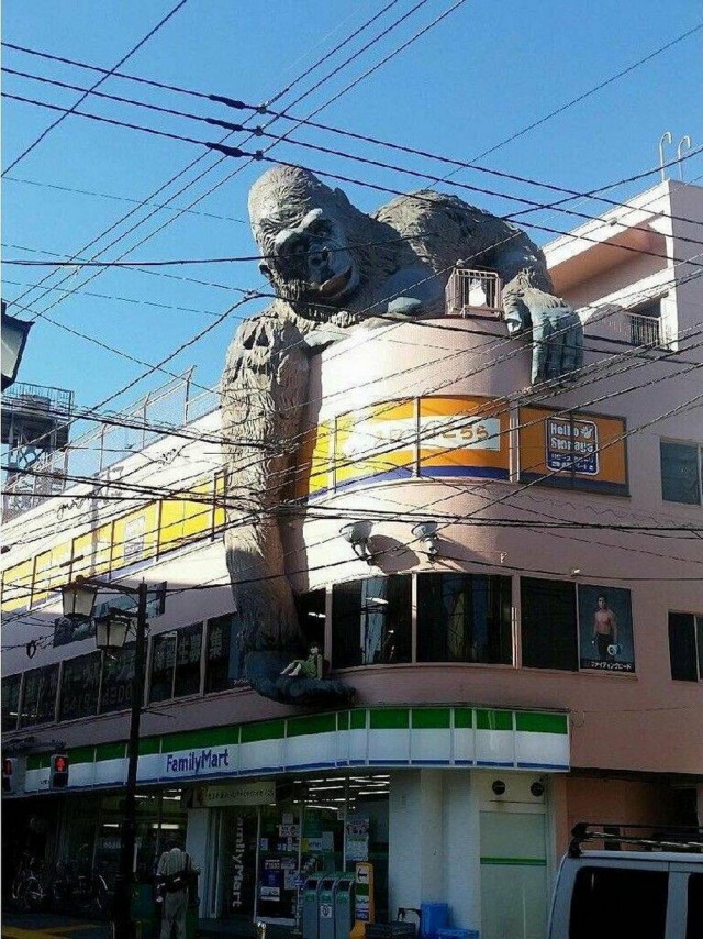ФотоВинегрет