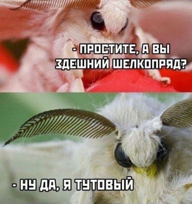 Быстрая деградация