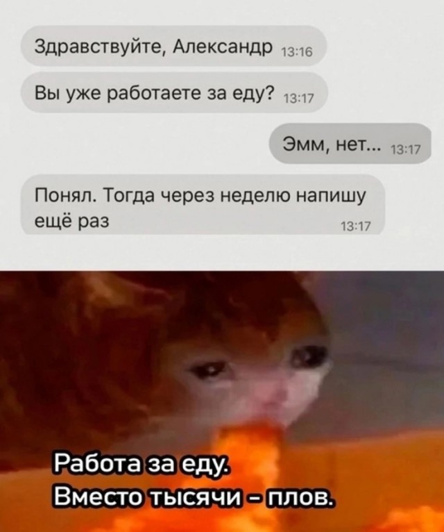 Весёлый полтишок 01.11.24