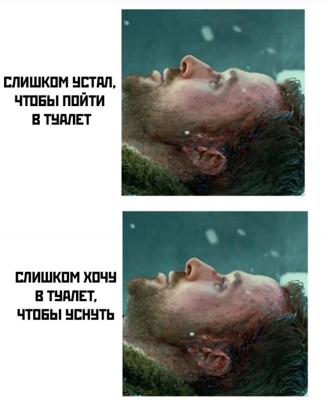 Весёлый полтишок 31.12.24