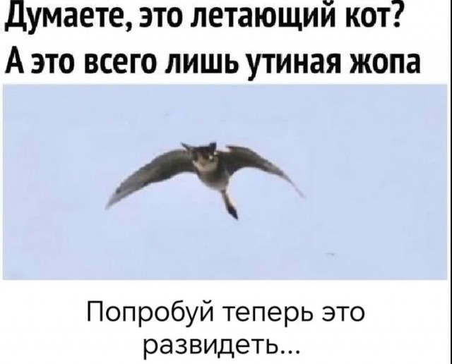 Завалялось тут случайно немного забавных картинок