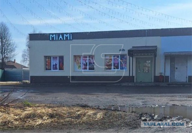 Три женщины забили до смерти мужчину за попытку познакомиться 8 марта