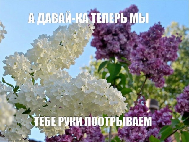 Немного забавных картинок от 20.05.2025