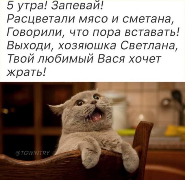 ТРРРидцать тРРРи от 22 мая
