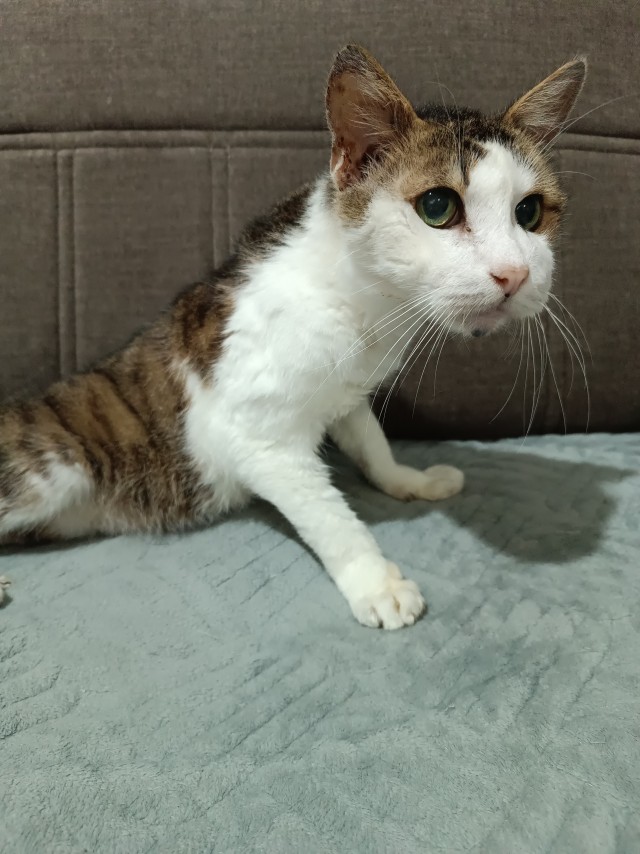 Старик