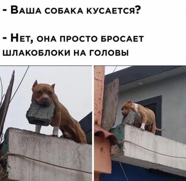 Смешал, но не взбалтывал: 07.06.25