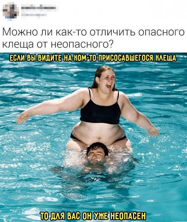Весёлый полтишок 13.07.25
