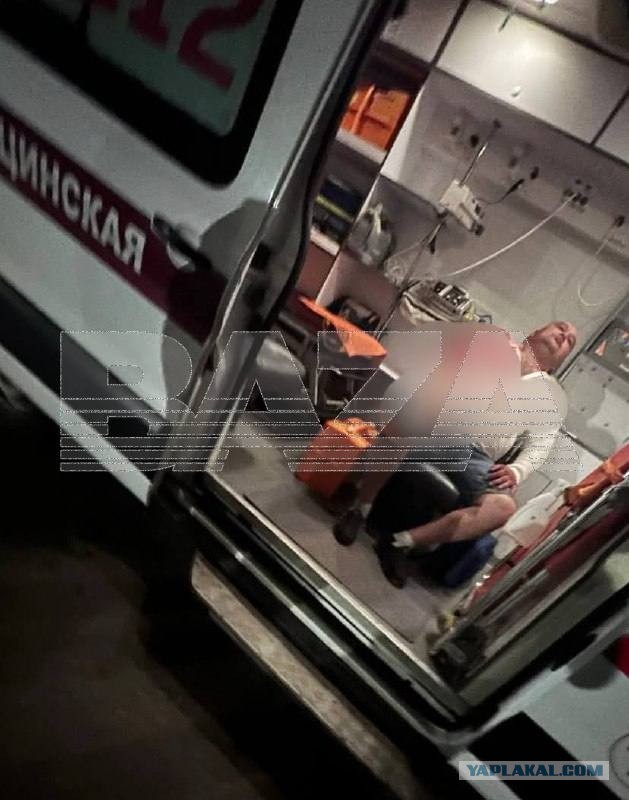 На татарскую певицу напал медведь во время отдыха на природе.