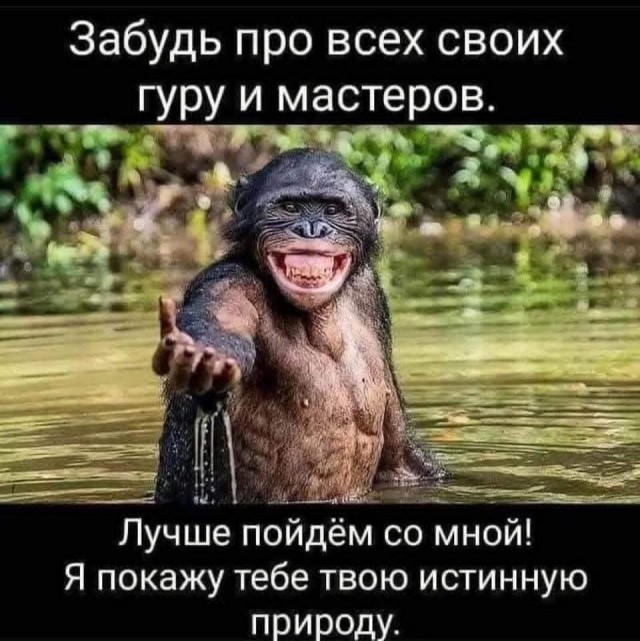 Маленькая пятница 1.10